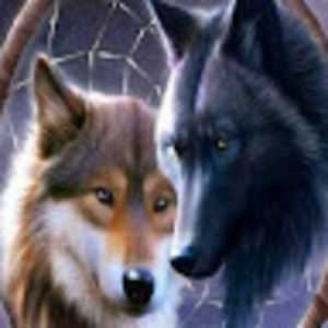 Meet your Posher, Miranda